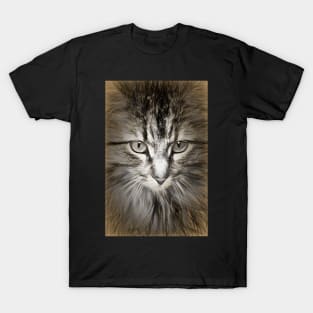 The Queen of the cats T-Shirt